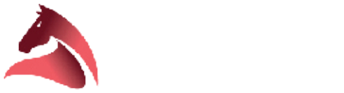 Özyurtlar Holding